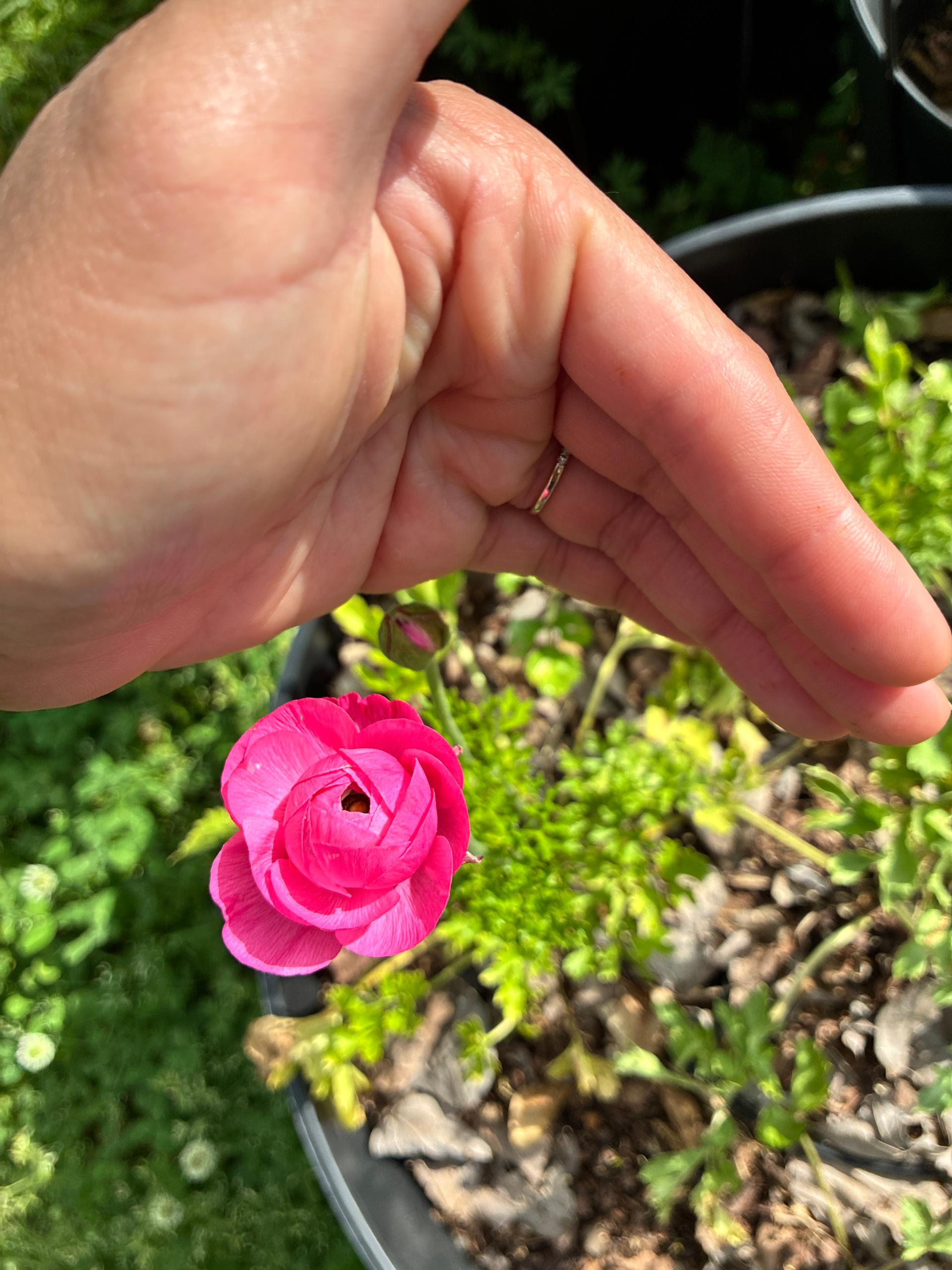 Big Changes Coming | New Handle & The Sister Roots Farm Vision