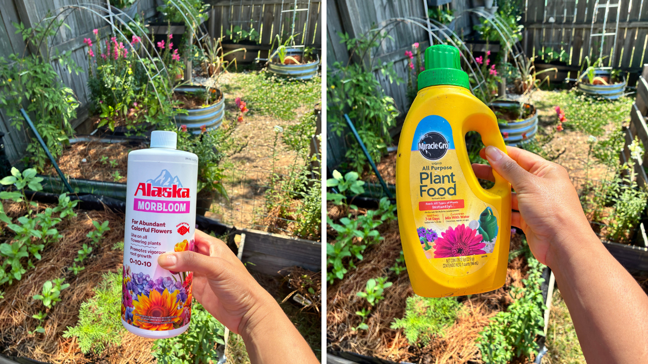 Garden Fertilizer Schedule for Zone 8A | What We Are Using & Why 🌱