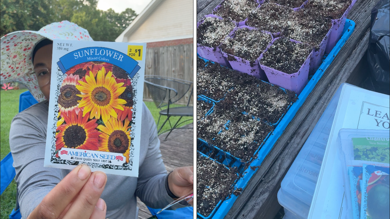 Seeds Started for Fall 2026