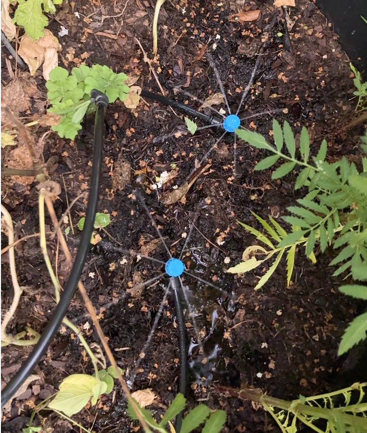 We Upgraded Our Garden Watering System