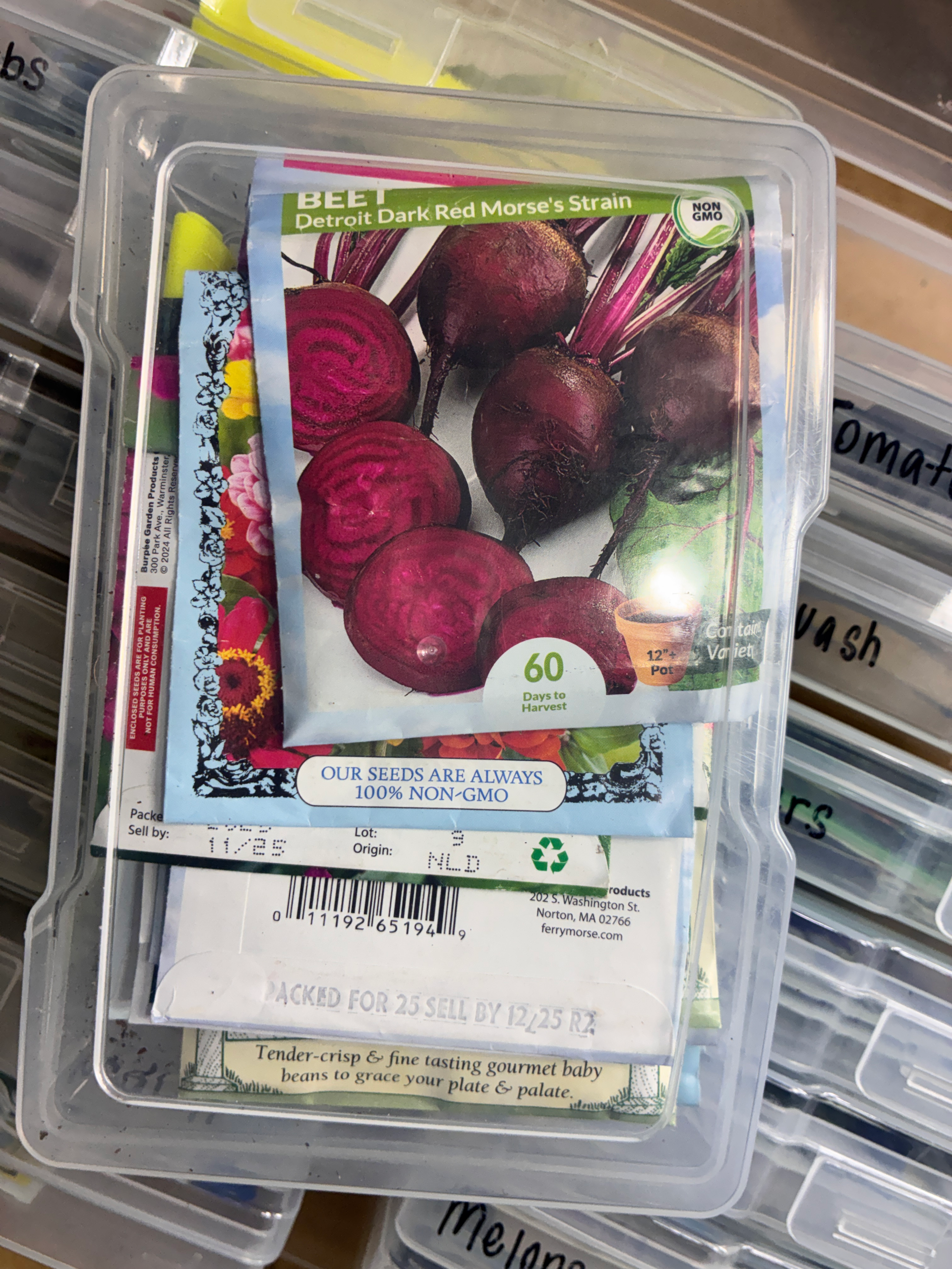 Second Round of Fall Seed Starts